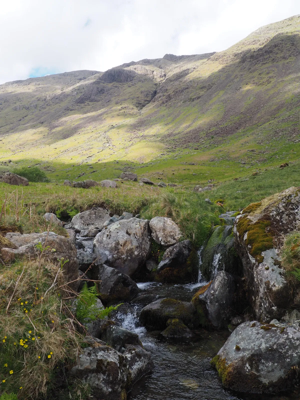 Rocks and stream