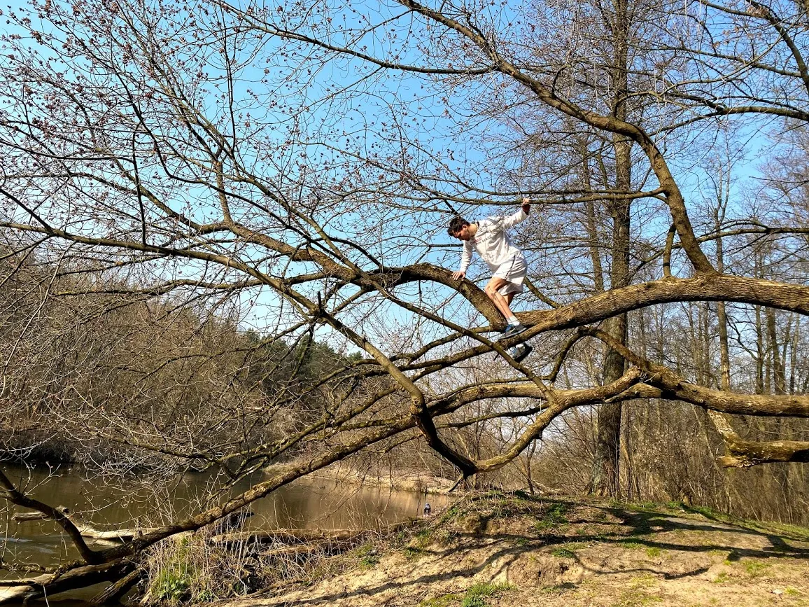 Climbing a tree