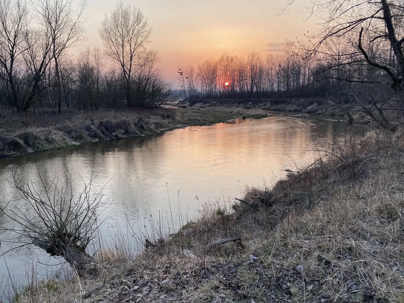 COVID-19 in Poland