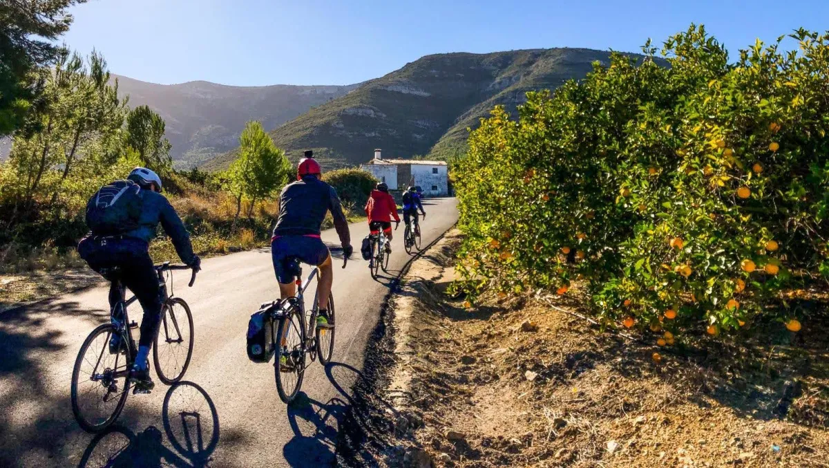 Cycling in the Jalón Valley