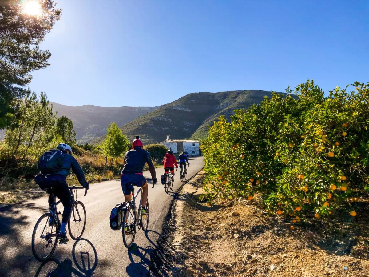 cycling in jalon valley