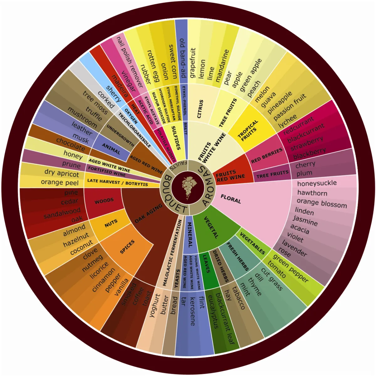 wine aroma wheel