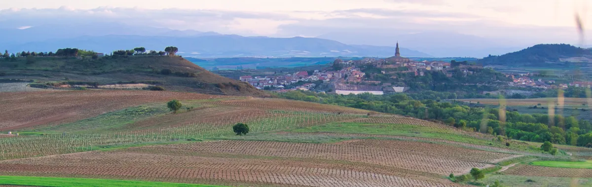 A Weekend in La Rioja