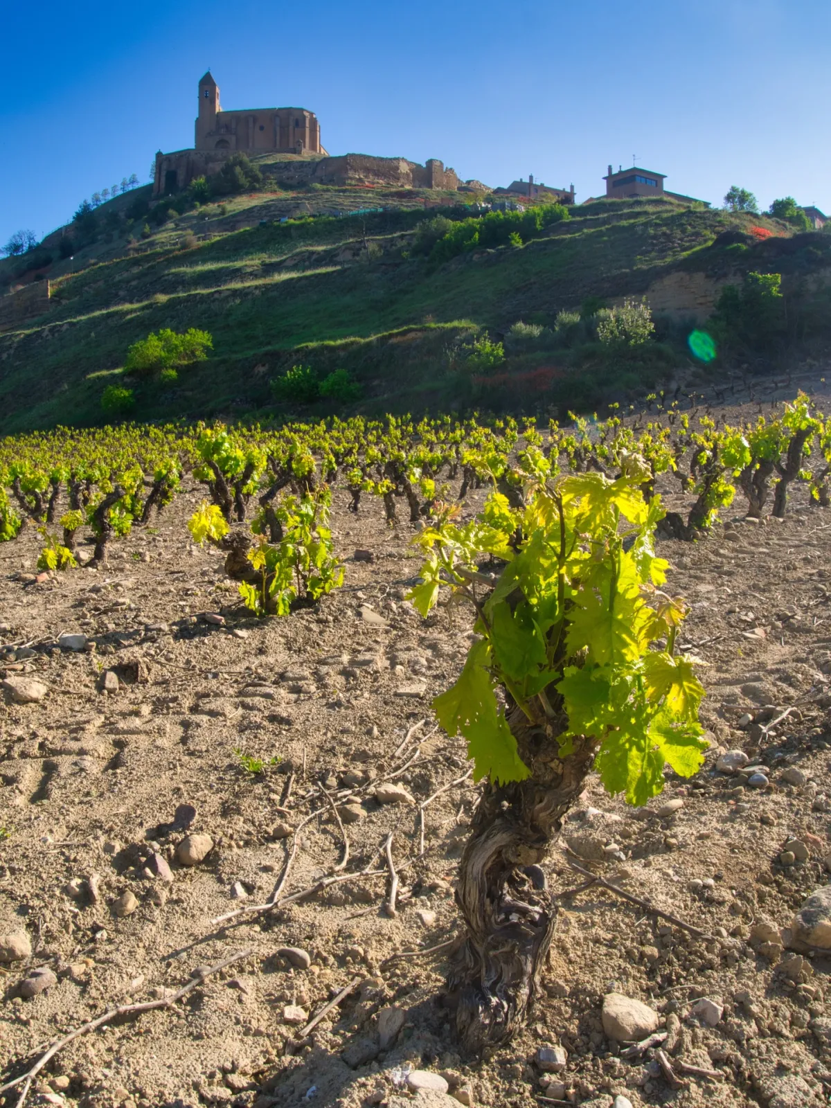 A Weekend in La Rioja