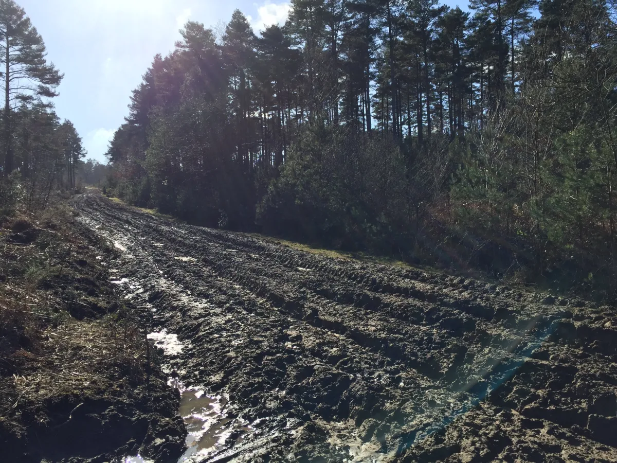 A very muddy road