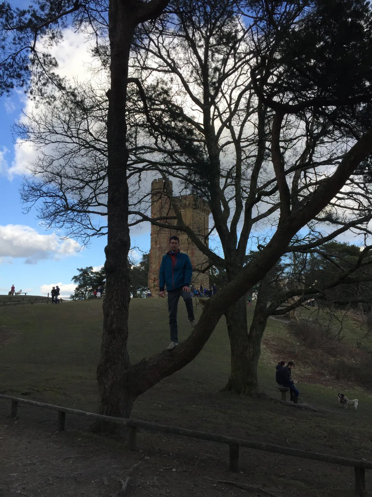 Maciek on a tree
