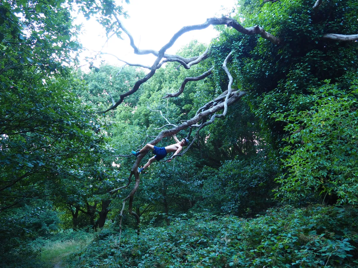 https://media.macandwen.com/images/posts/parks-of-london-10-cool-things-about-hampstead-heath/gEfNqpf.webp