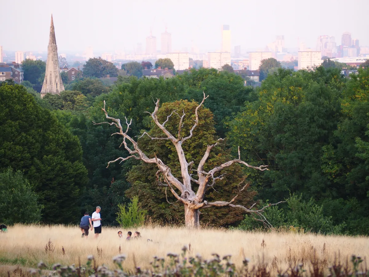 Parks of London: 10 Cool Things about Hampstead Heath